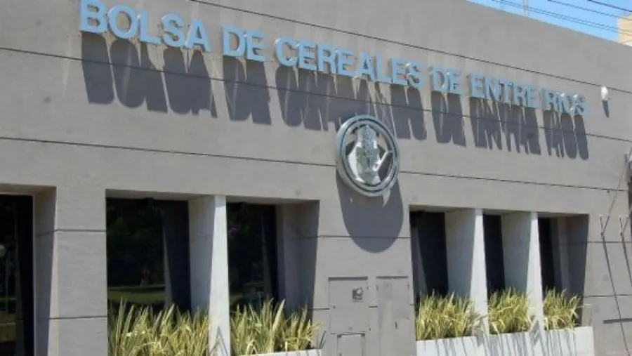 Bolsa de Cereales Bolsa de Cereales