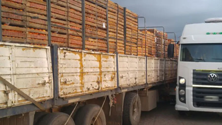 transporte de carga