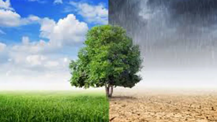 En las próximas semanas más de 190 países convocados por Naciones Unidas, se encontrarán en la reunión anual denominada COP-25, donde el cambio climático será el tema central.