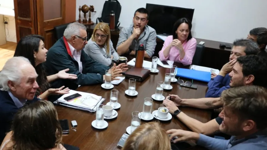 concejo deliberante