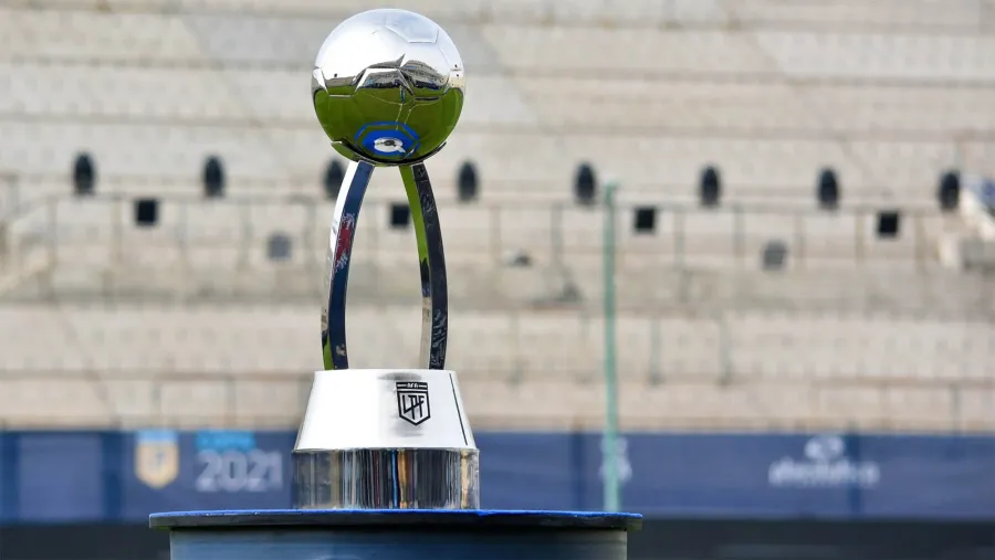 Anunciaron el fixture para la Copa de la Liga Profesional de Fútbol 2024 Anunciaron el fixture para la Copa de la Liga Profesional de Fútbol 2024