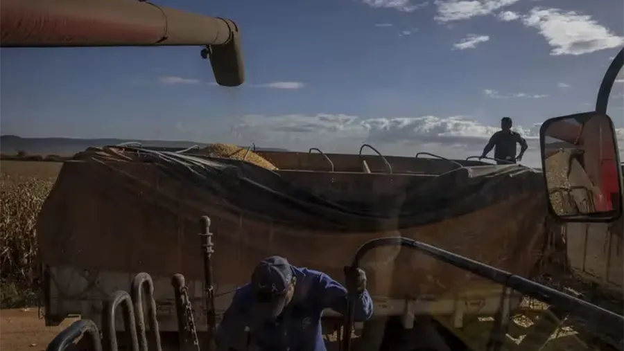 Los pronósticos indican que las exportaciones argentinas de agro caerían este año por debajo de los 30 mil millones de dólares. Los pronósticos indican que las exportaciones argentinas de agro caerían este año por debajo de los 30 mil millones de dólares.