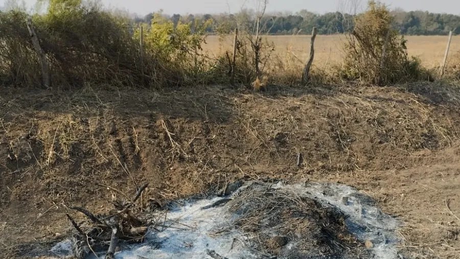 Vecinos de Gobernador Etchevehere denunciaron a la comuna por tala y quema de un monte nativo. Vecinos de Gobernador Etchevehere denunciaron a la comuna por tala y quema de un monte nativo.