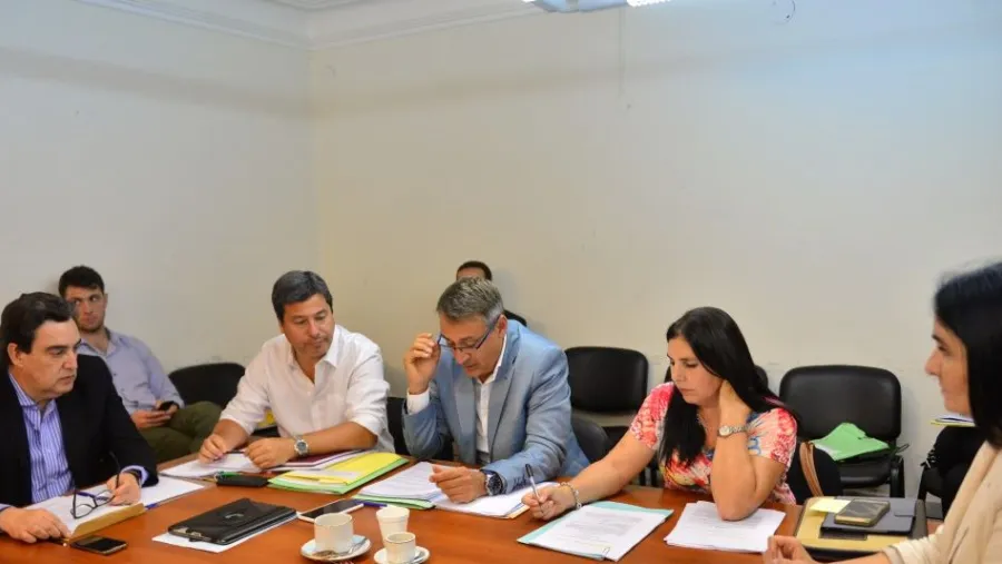 diputados