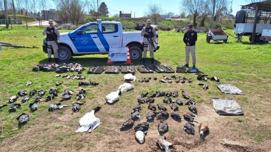Las armas como las aves autóctonas fueron decomisadas por orden de la Justicia, pero los “cazadores” quedaron en libertad. Las armas como las aves autóctonas fueron decomisadas por orden de la Justicia, pero los “cazadores” quedaron en libertad.