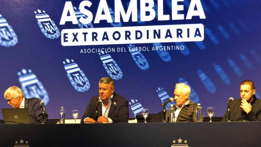 La AFA eliminó un descenso de la Liga Profesional La AFA eliminó un descenso de la Liga Profesional