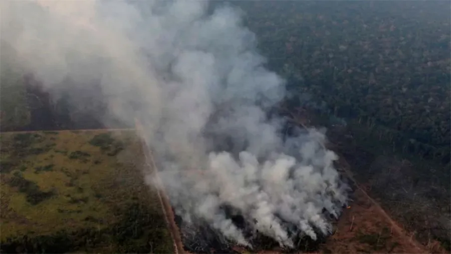 humo incendio Amazonas humo incendio Amazonas