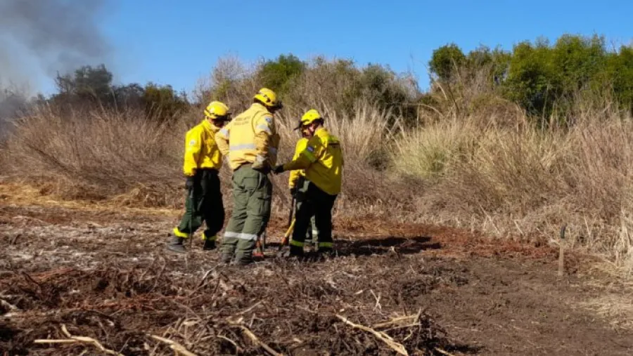 Combaten incendios en las islas del Delta con operativos simultáneos