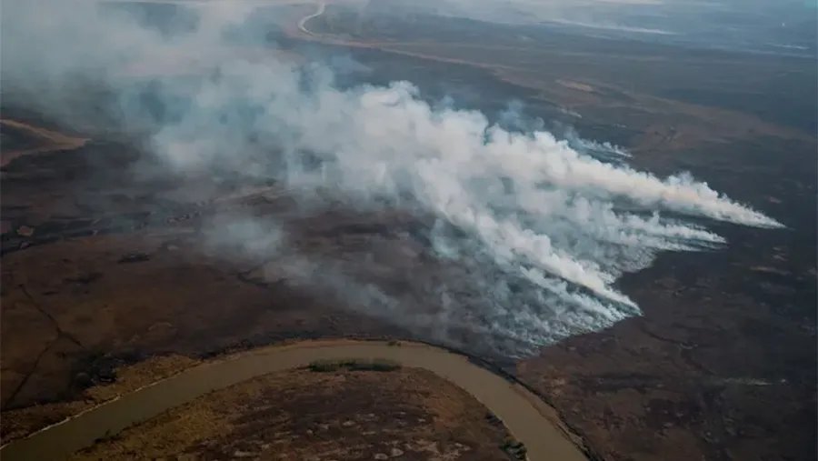 El gobierno nacional eliminará la protección de humedales, bosques y áreas naturales. El gobierno nacional eliminará la protección de humedales, bosques y áreas naturales.
