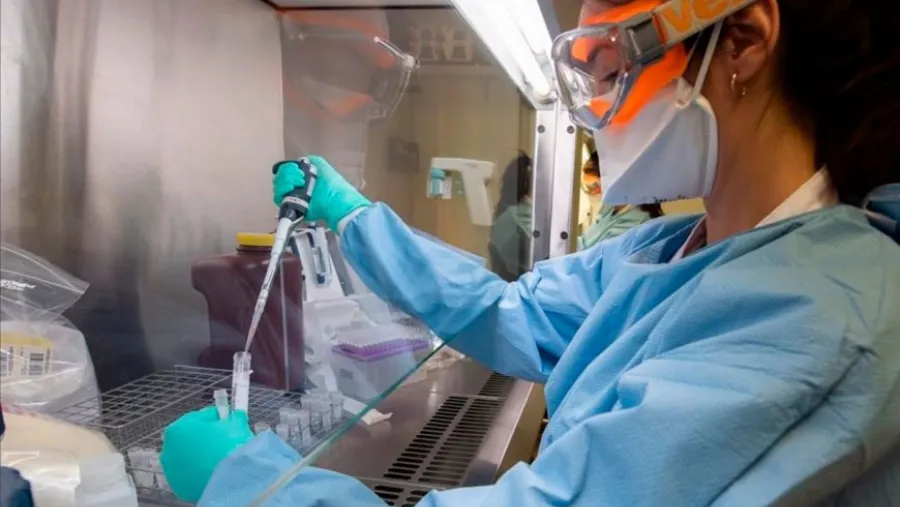 Laboratorio