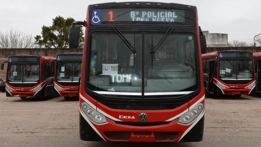 Colectivos