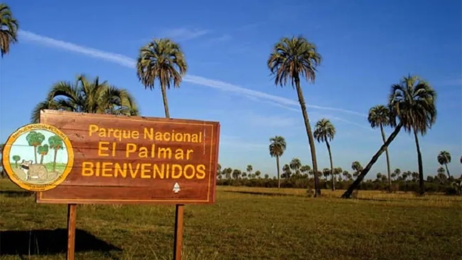 Los destinos de naturaleza serán clave en un escenario pospandemia para reactivar al turismo y el movimiento económico.