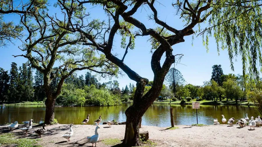 Parque Gazzano Parque Gazzano