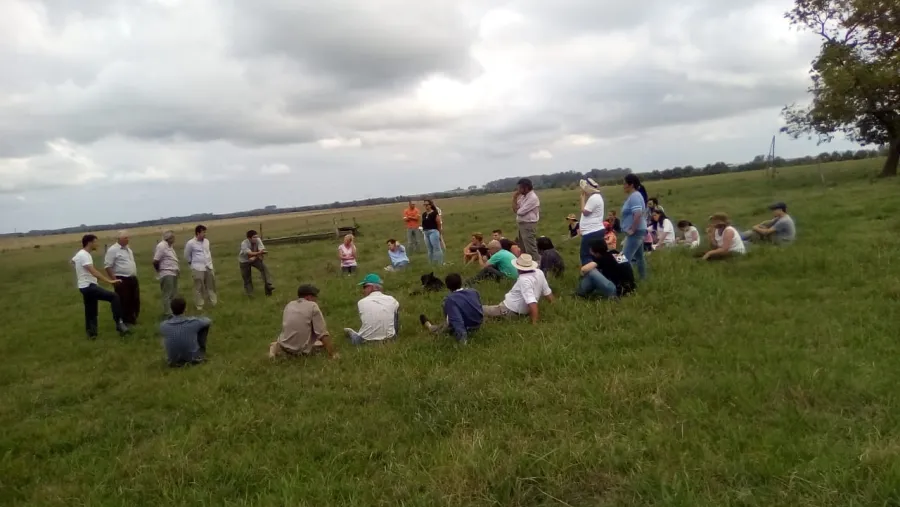 Campo