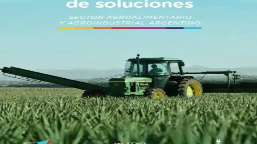 campo oposición