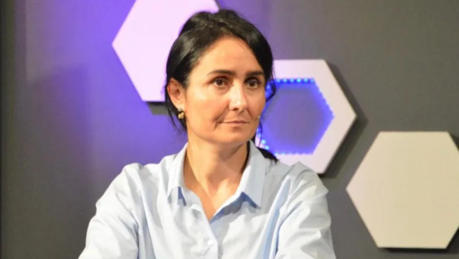 Diputada Viola Diputada Viola