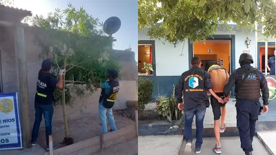 Operativos.