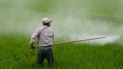 Fumigación terrestre