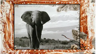 Peter Beard 