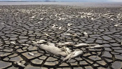 La Tierra rompió el récord de temperatura. Las temperaturas globales en 2024 estuvieron 1,28 grados por encima de los registros del siglo XX.