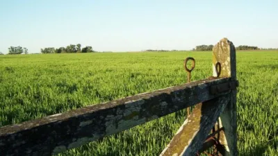 Campo.