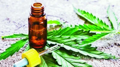 Cannabis medicinal