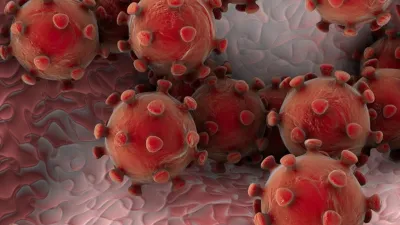 coronavirus