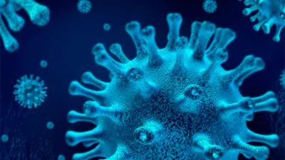 coronavirus célula 