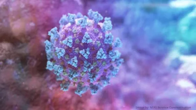 coronavirus