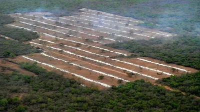 Deforestación