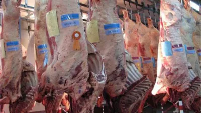 Carne