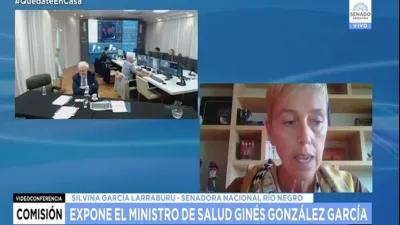 Ginés González García en videoconferencia con senadores