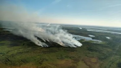 Reportaron focos activos en Entre Ríos, Chubut, Buenos Aires y Misiones