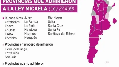 ley Micaela