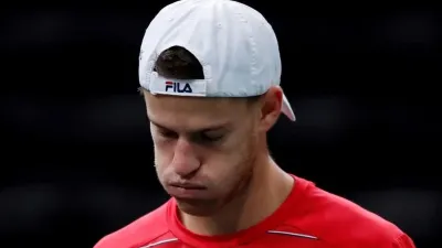 Schwartzman 