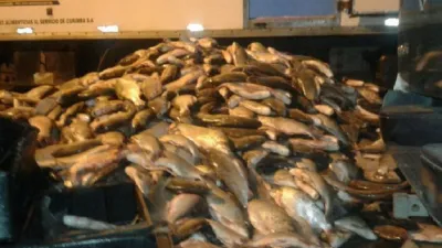 Pescado