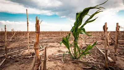 Por ley se otorgará un beneficio impositivo a los productores afectados por la sequía. Se estima que serán más de 3.000 los beneficiarios.