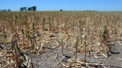 A raíz de la sequía se espera una menor recaudación tributaria sobre el comercio exterior, además de una merma en distintas actividades vinculadas con el agro.