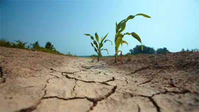 El gobierno entrerriano declaró la emergencia agropecuaria en los 17 Departamentos y abarca a las explotaciones de maíz, citrus, hortícolas, apícolas y las explotaciones ganaderas bovinas, caprinas, ovinas, equinas y tamberas.