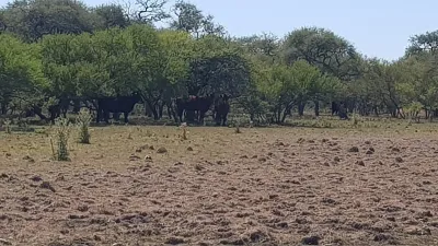 sequía campo
