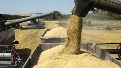 En el primer semestre de la campaña 2021/22 del trigo fueron récord tanto en volumen como en valor. Los países africanos fueron el principal destino, indicó la Bolsa de Comercio de Rosario.