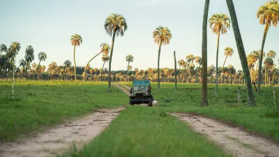 Los Parques Nacionales El Palmar y Pre Delta, también recibieron la capacidad máxima de visitantes diarios estipulados, mientras que una docena de áreas naturales realizaron actividades como cabalgatas, avistajes de aves, caminatas y cicloturismo.