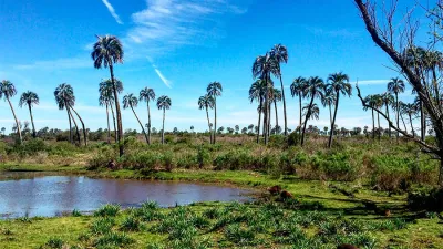 Los protocolos aprobados que regularán la temporada turística de verano en la Provincia estarán disponibles en www.entrerios.gob.ar/minpro y en www.entrerios.tur.ar.